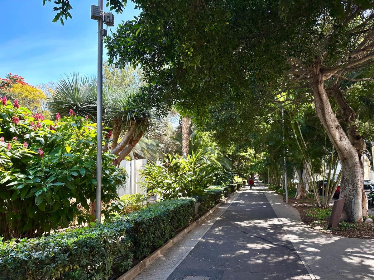 Centrico Y Moderno Junto Al Parque Διαμέρισμα Σάντα Κρουζ Τενερίφης Εξωτερικό φωτογραφία