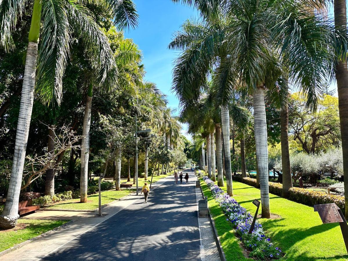 Centrico Y Moderno Junto Al Parque Διαμέρισμα Σάντα Κρουζ Τενερίφης Εξωτερικό φωτογραφία